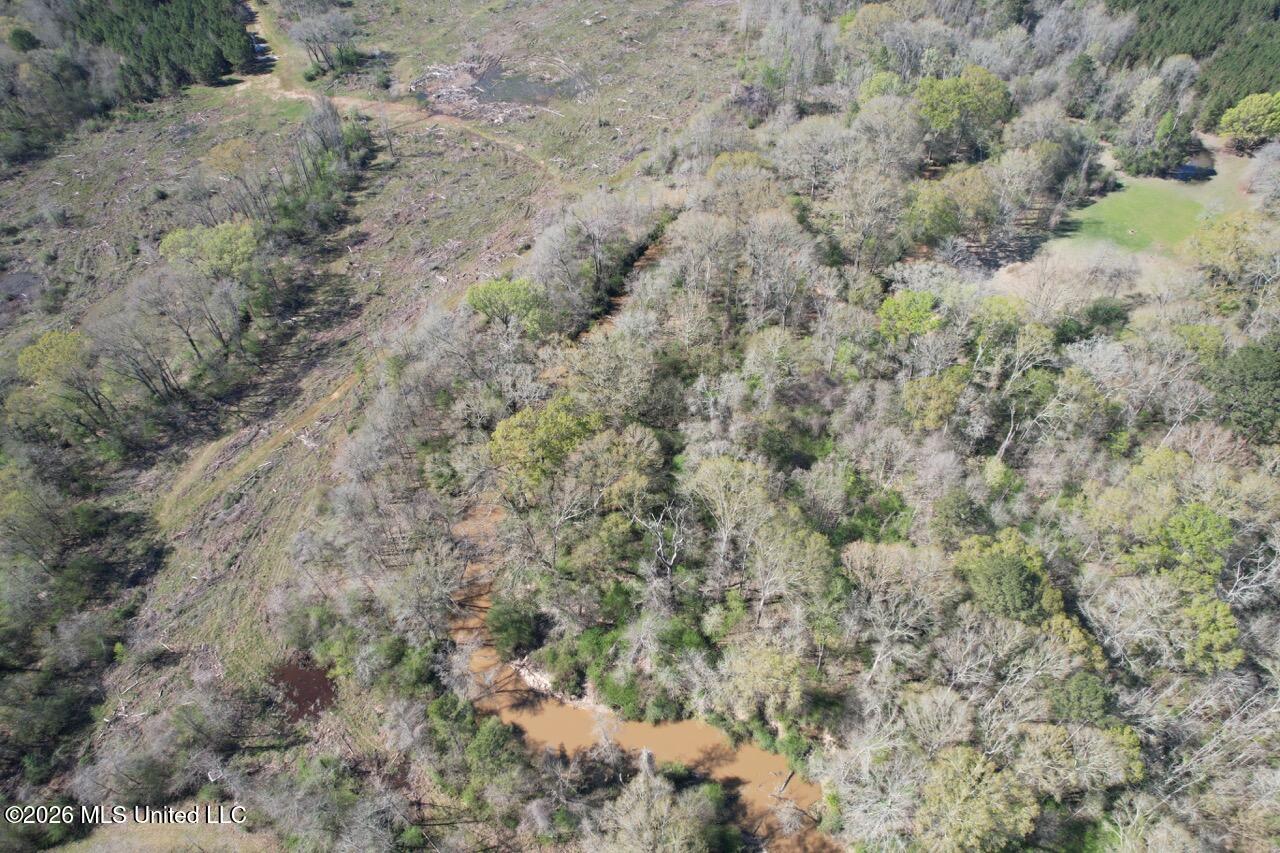 1009 Chance Road Centreville, MS 39631 - Photo 23 of 48 DJI_0448 Large