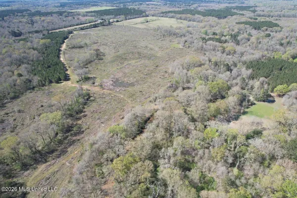 $525,000 | 1009 Chance Road, Centreville, MS 39631