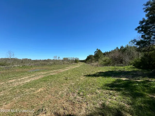 $525,000 | 1009 Chance Road, Centreville, MS 39631