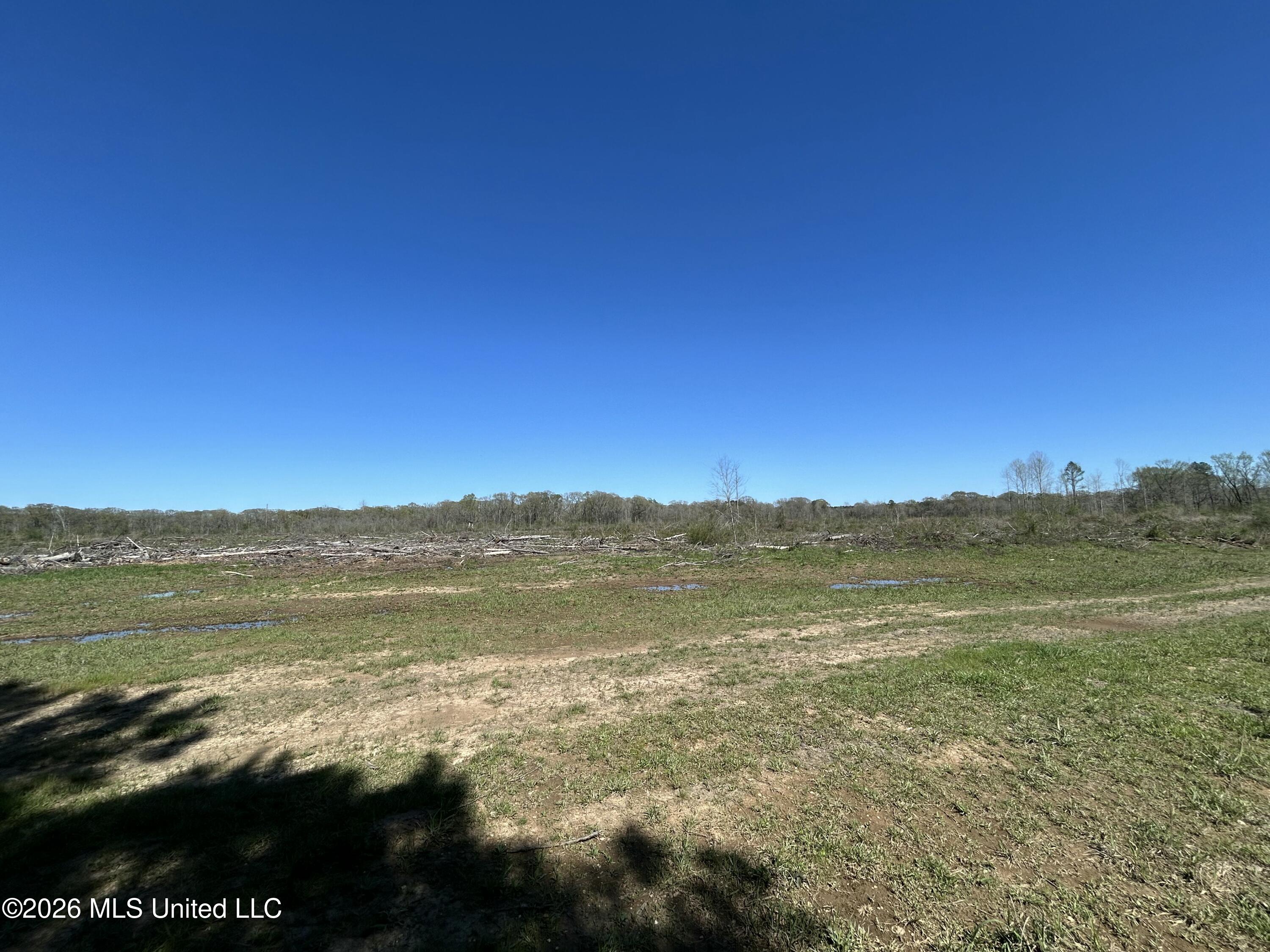 1009 Chance Road Centreville, MS 39631 - Photo 28 of 48 IMG_3390