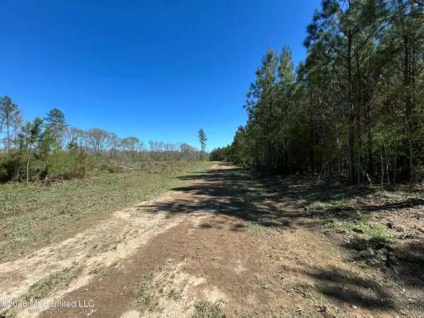 $525,000 | 1009 Chance Road, Centreville, MS 39631