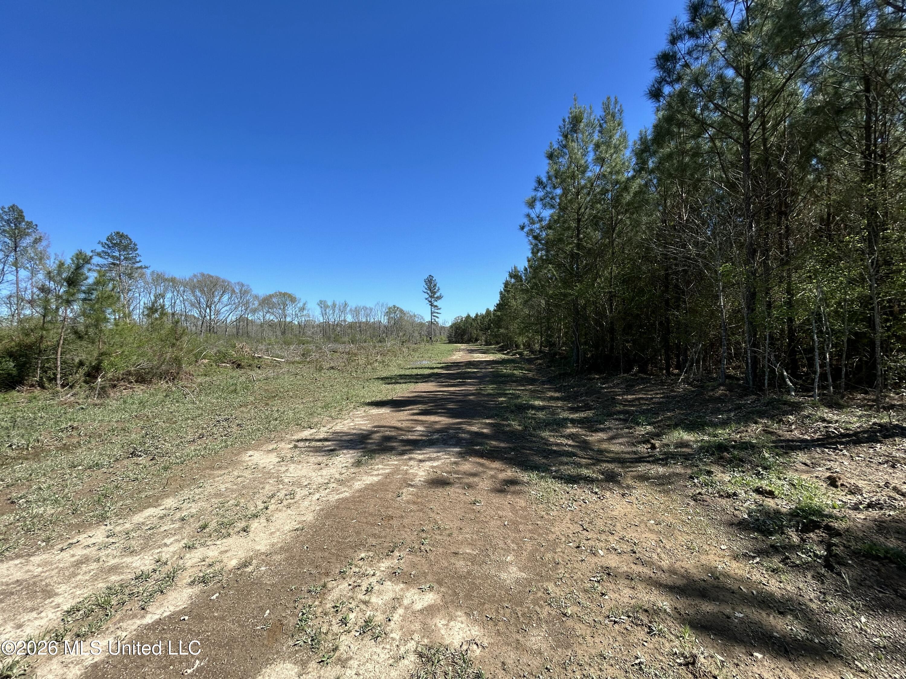 1009 Chance Road Centreville, MS 39631 - Photo 29 of 48 IMG_3392