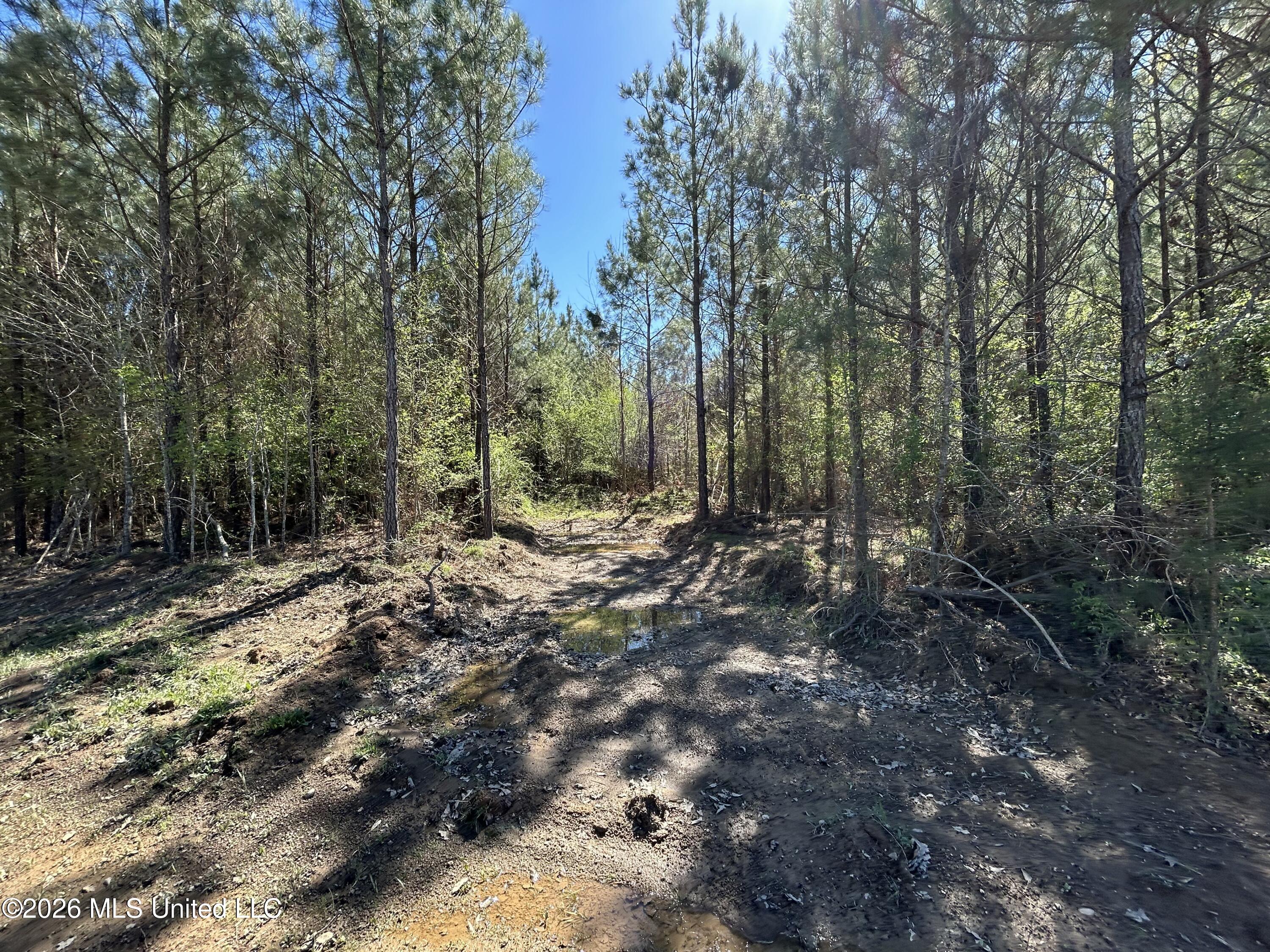 1009 Chance Road Centreville, MS 39631 - Photo 30 of 48 IMG_3393