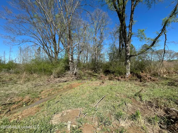 $525,000 | 1009 Chance Road, Centreville, MS 39631