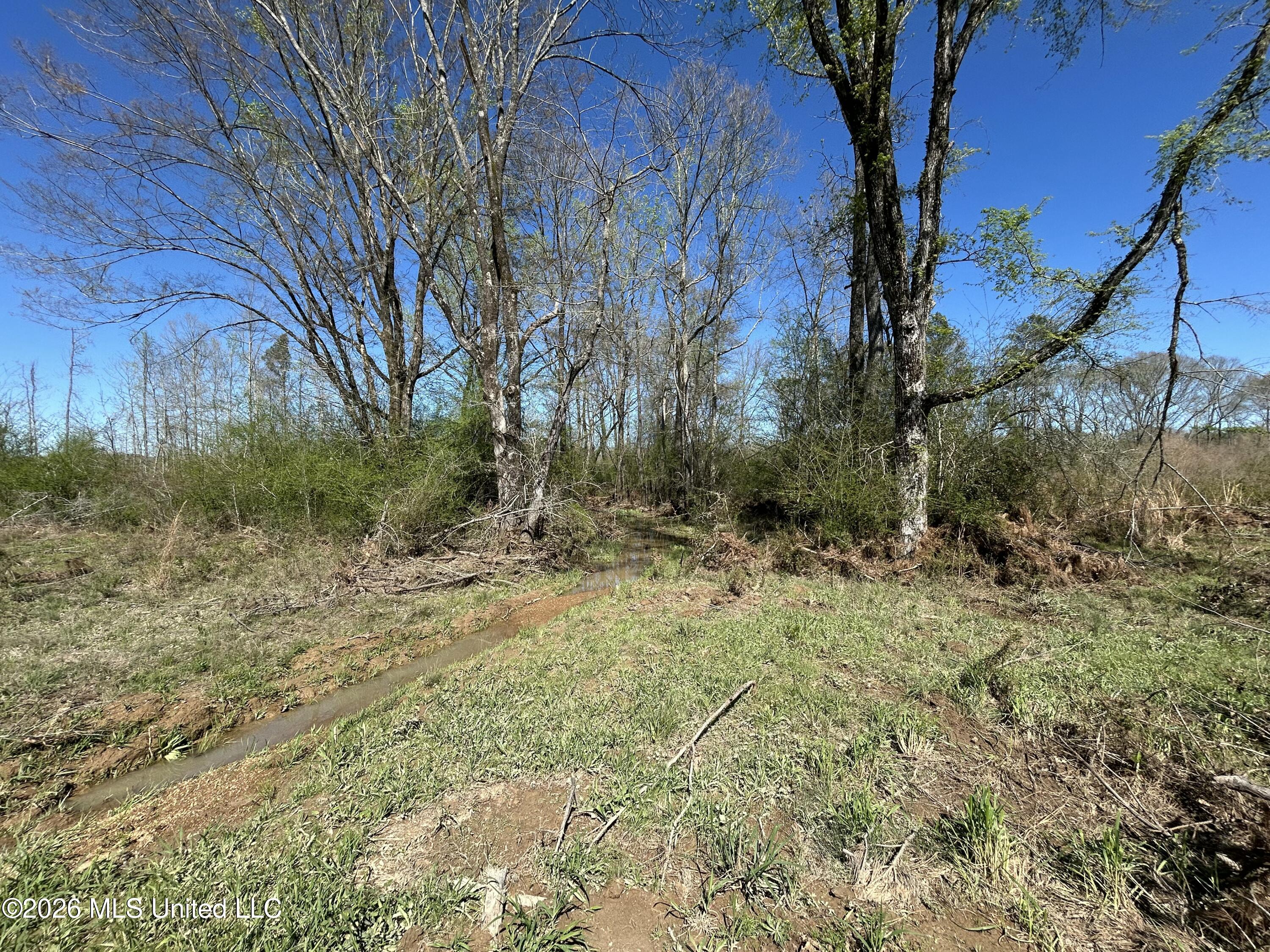 1009 Chance Road Centreville, MS 39631 - Photo 31 of 48 IMG_3394