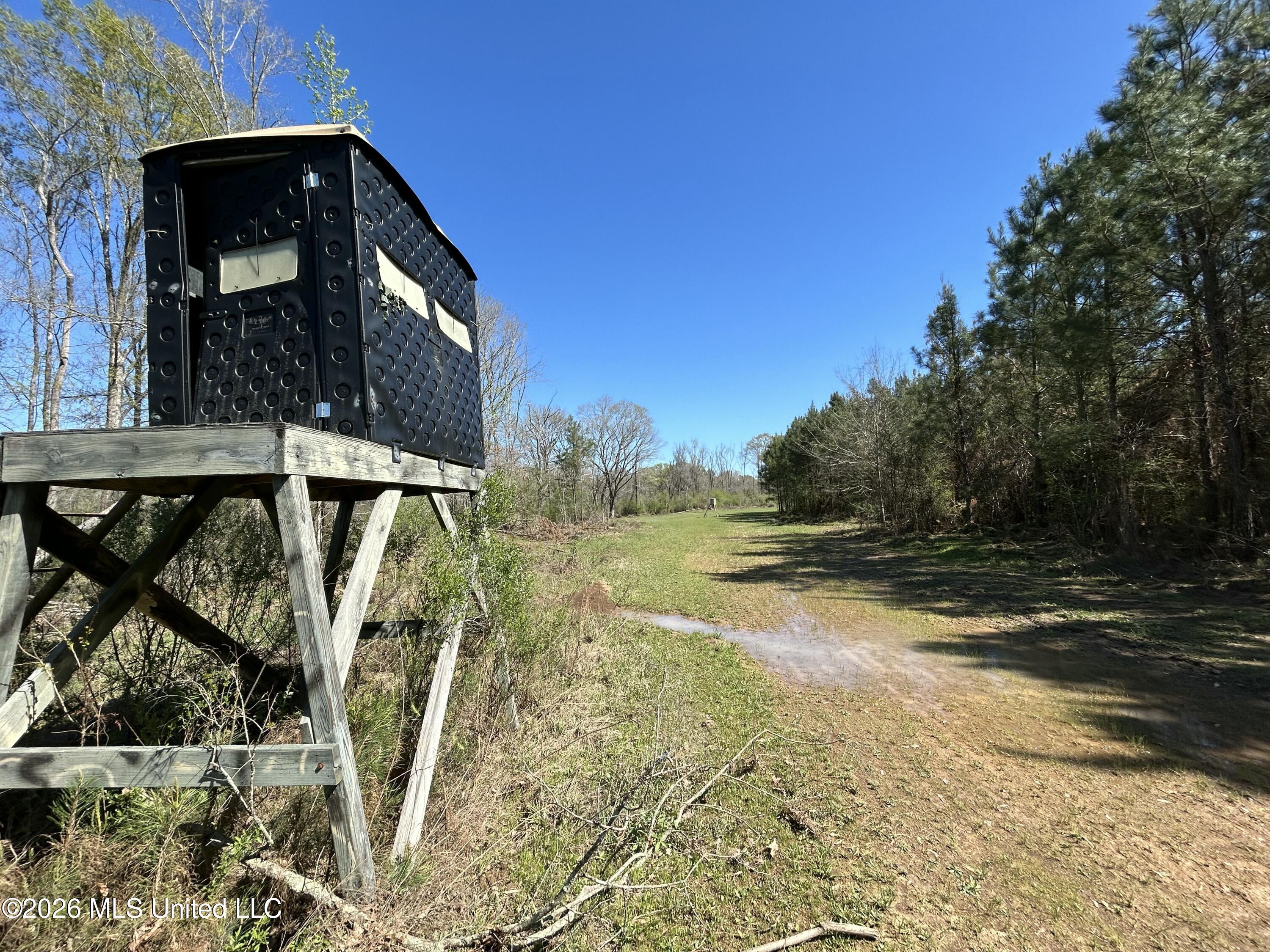 1009 Chance Road Centreville, MS 39631 - Photo 32 of 48 IMG_3395