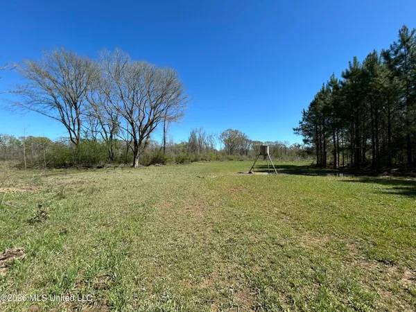 $525,000 | 1009 Chance Road, Centreville, MS 39631