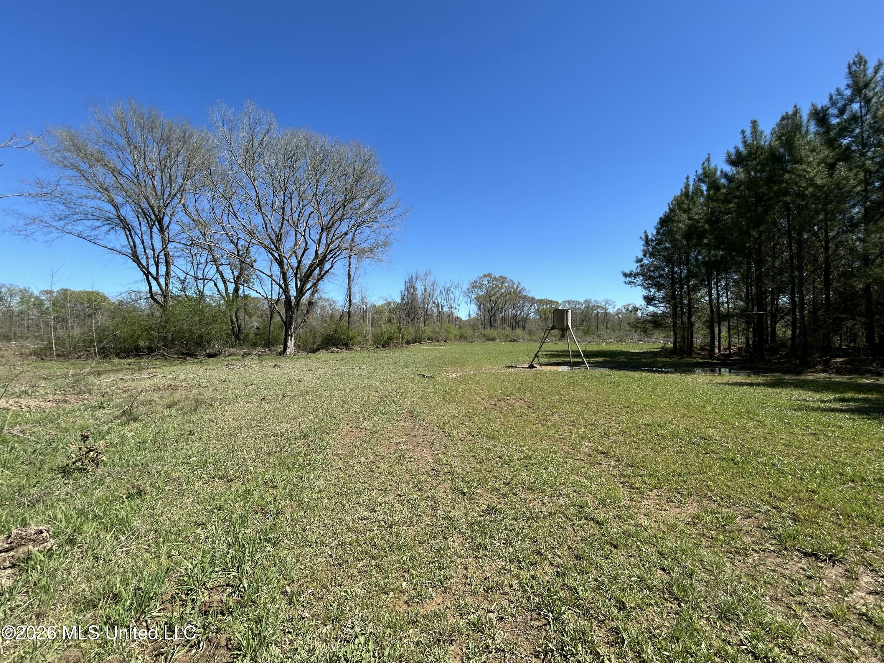 1009 Chance Road Centreville, MS 39631 - Photo 33 of 48 IMG_3397