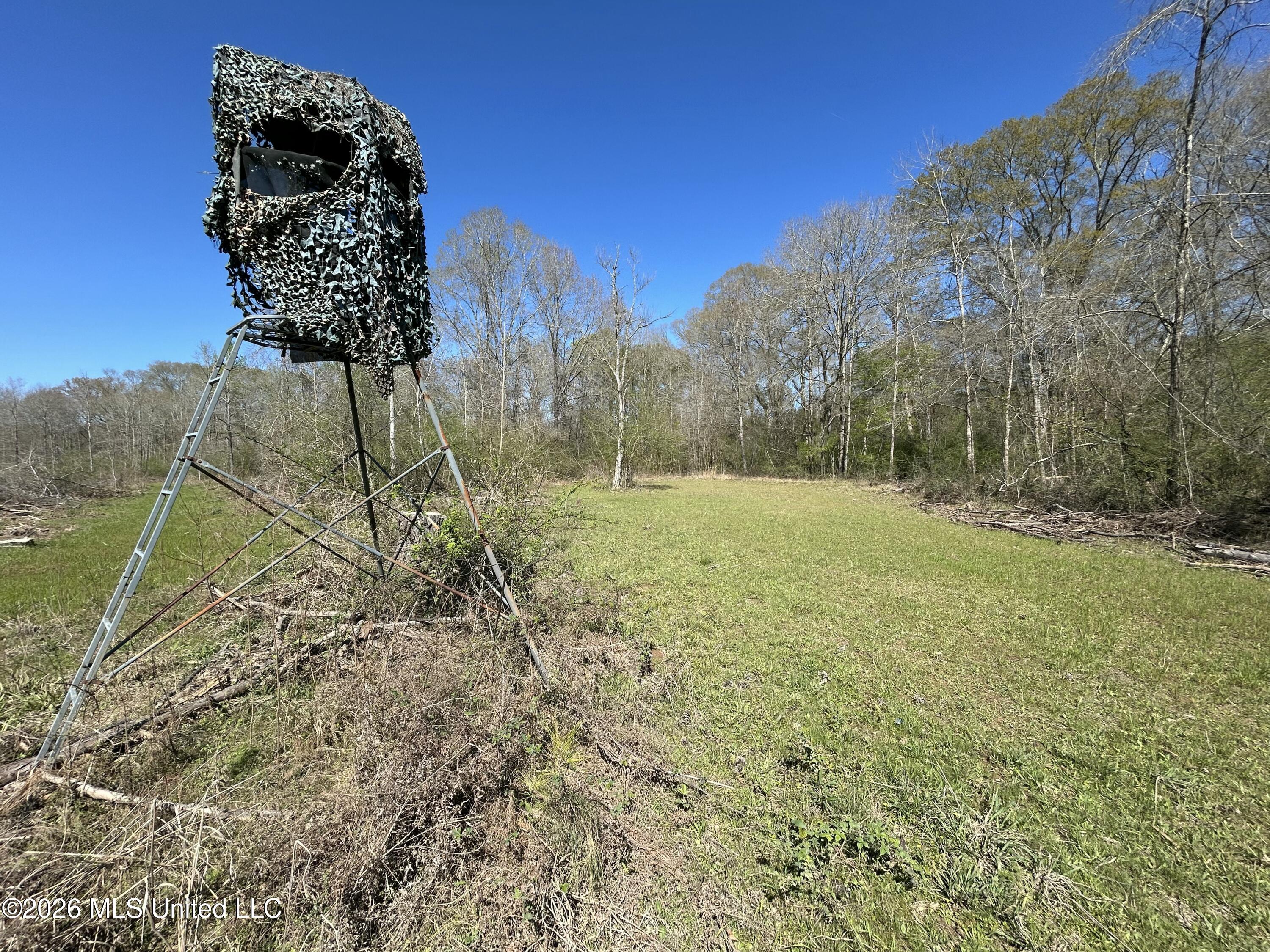 1009 Chance Road Centreville, MS 39631 - Photo 34 of 48 IMG_3398