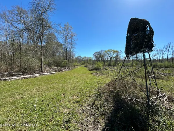 $525,000 | 1009 Chance Road, Centreville, MS 39631