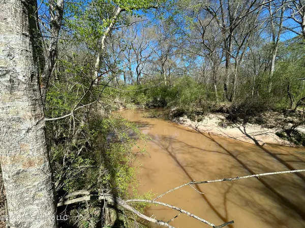 $525,000 | 1009 Chance Road, Centreville, MS 39631