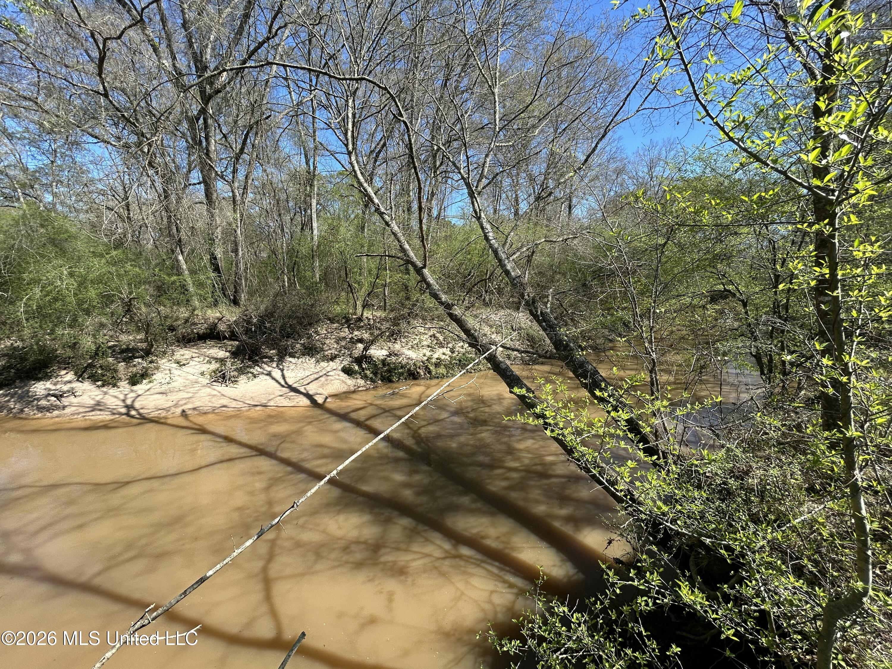 1009 Chance Road Centreville, MS 39631 - Photo 37 of 48 IMG_3401