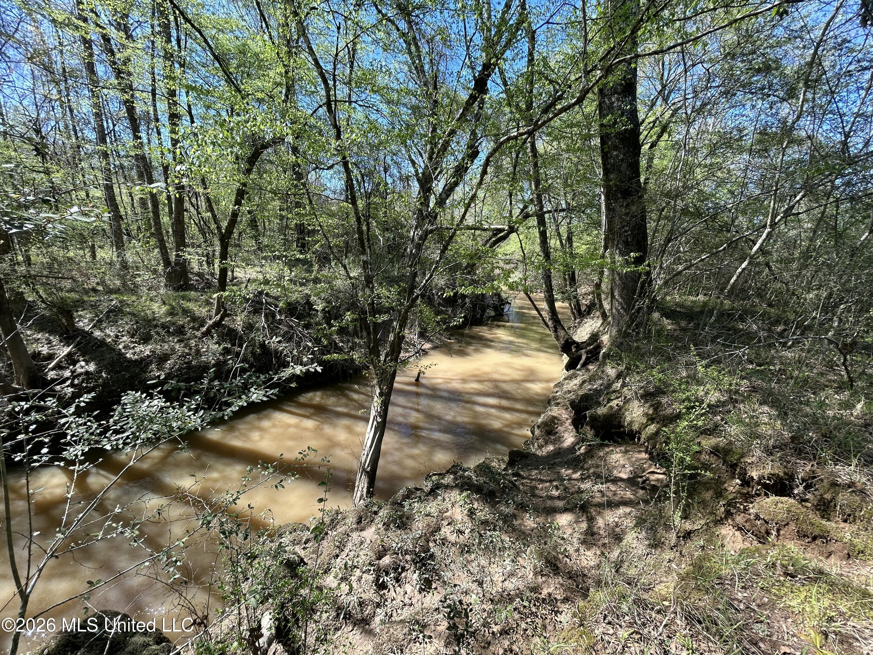 1009 Chance Road Centreville, MS 39631 - Photo 38 of 48 IMG_3402