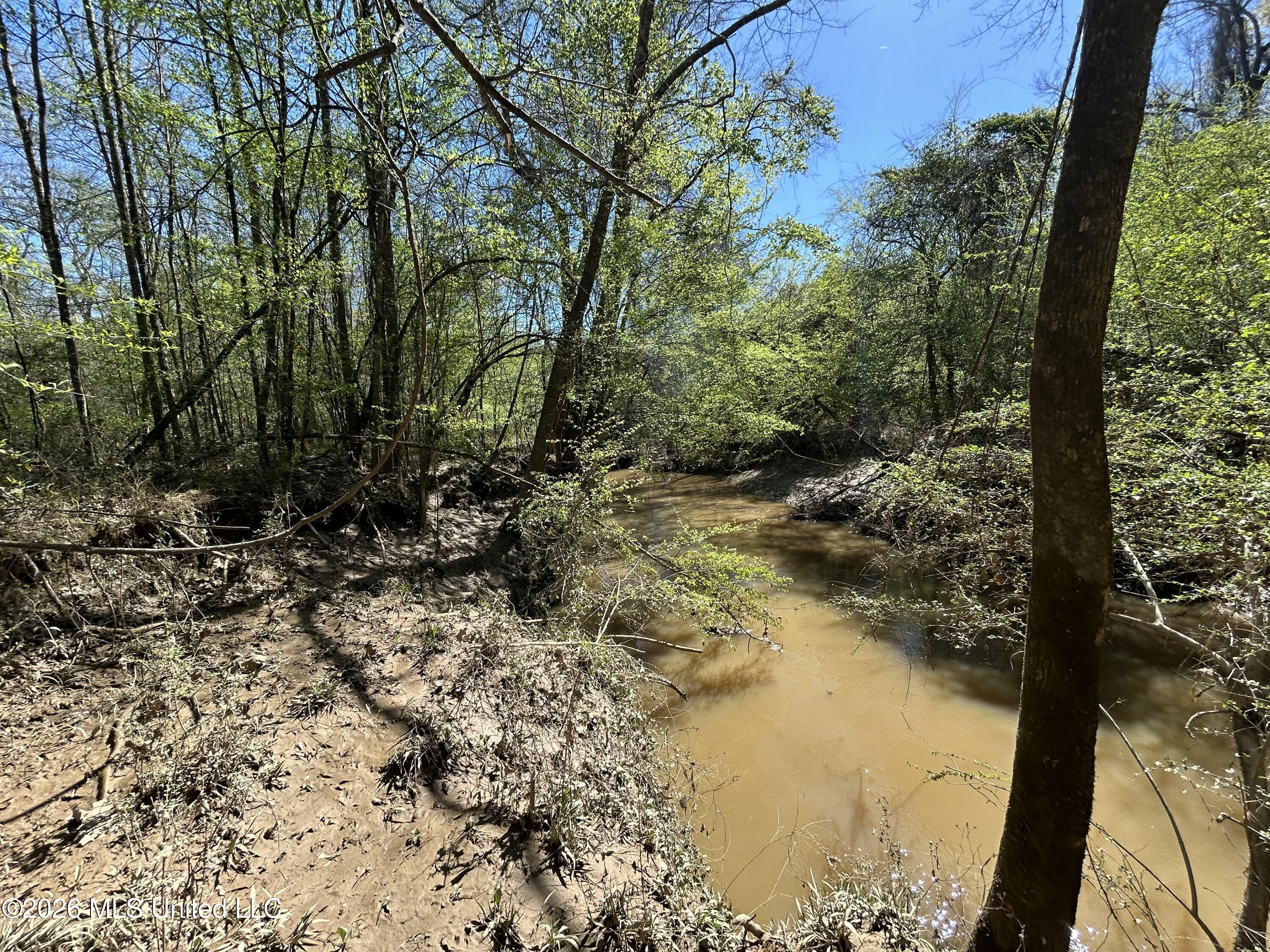 1009 Chance Road Centreville, MS 39631 - Photo 39 of 48 IMG_3404