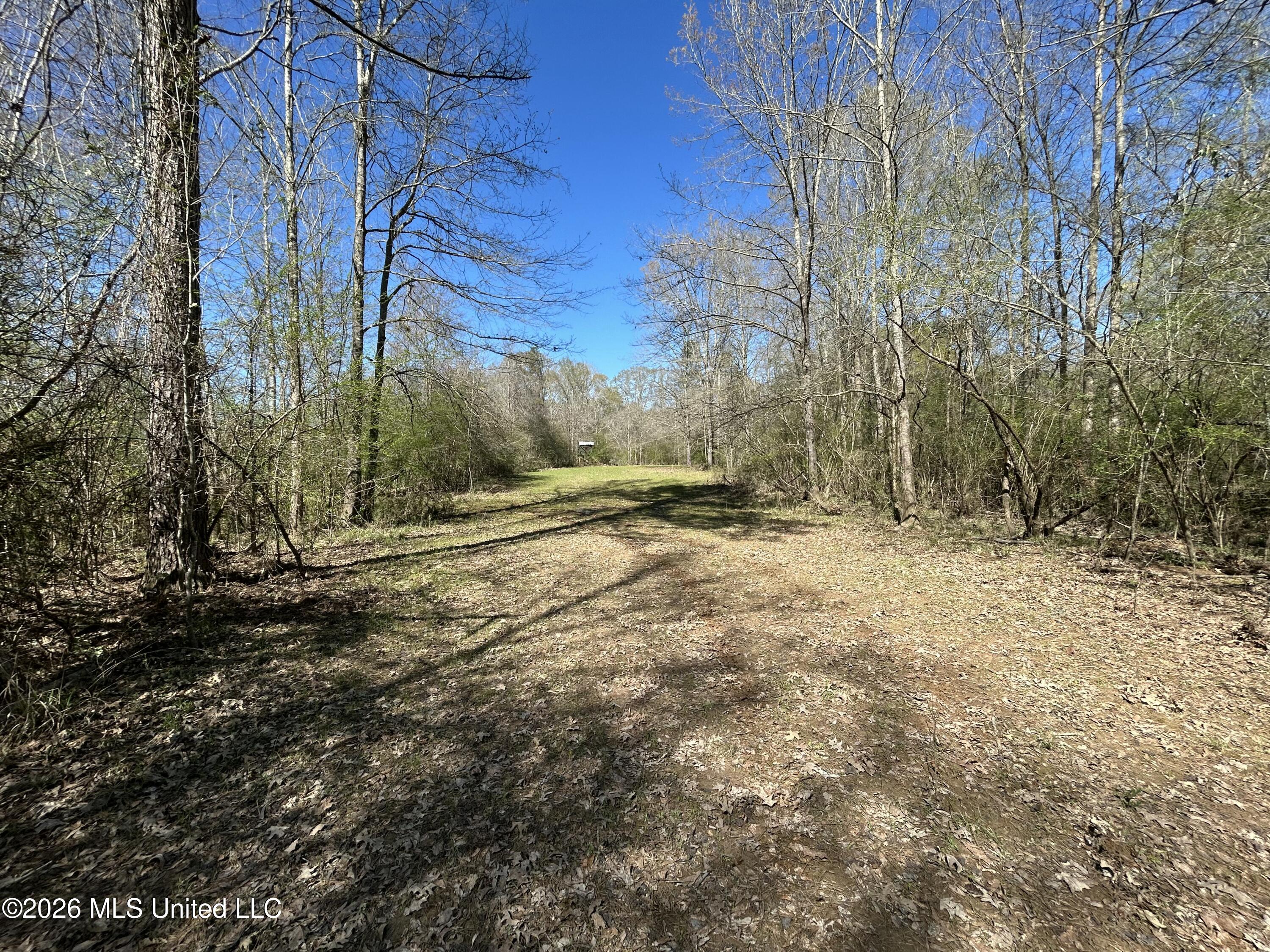 1009 Chance Road Centreville, MS 39631 - Photo 40 of 48 IMG_3405