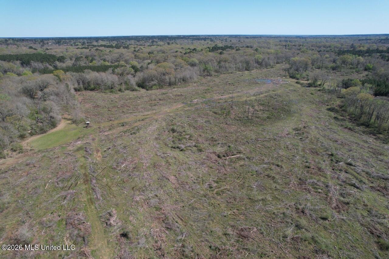 1009 Chance Road Centreville, MS 39631 - Photo 4 of 48 DJI_0410 Large
