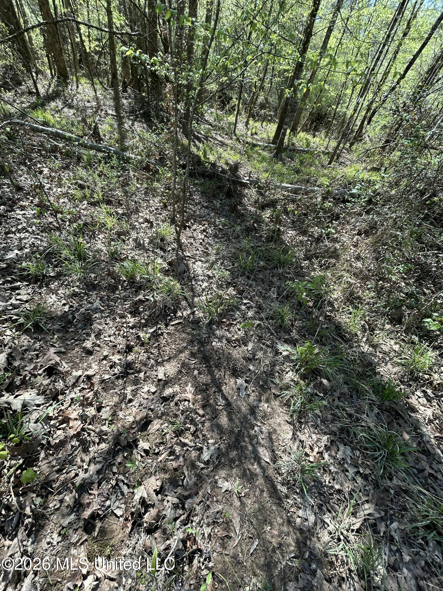 1009 Chance Road Centreville, MS 39631 - Photo 41 of 48 IMG_3406