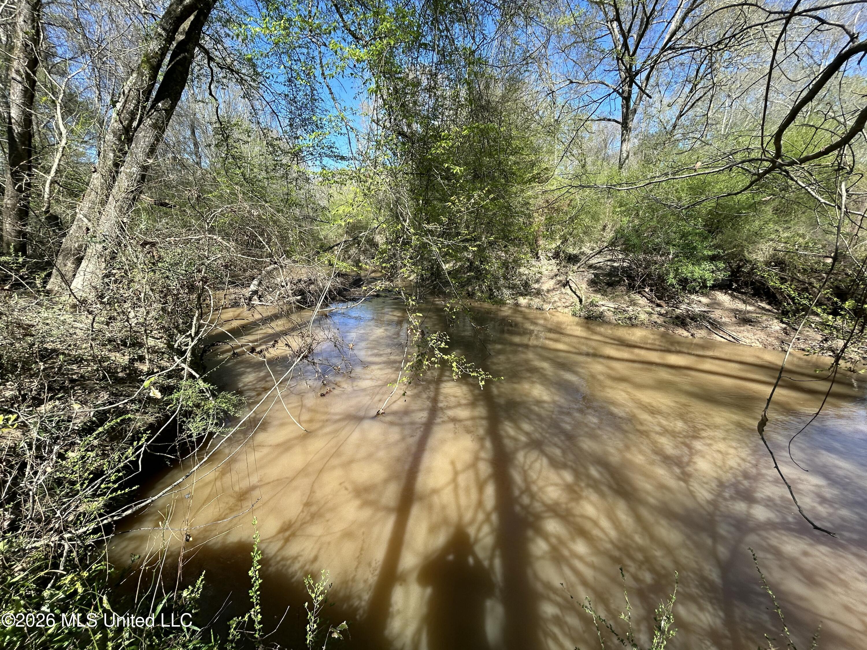 1009 Chance Road Centreville, MS 39631 - Photo 43 of 48 IMG_3410