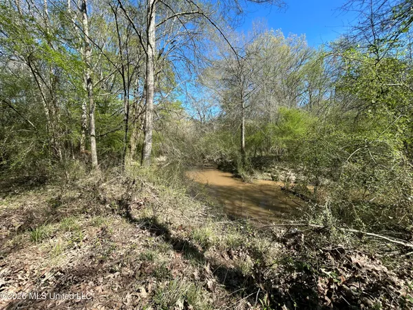 $525,000 | 1009 Chance Road, Centreville, MS 39631