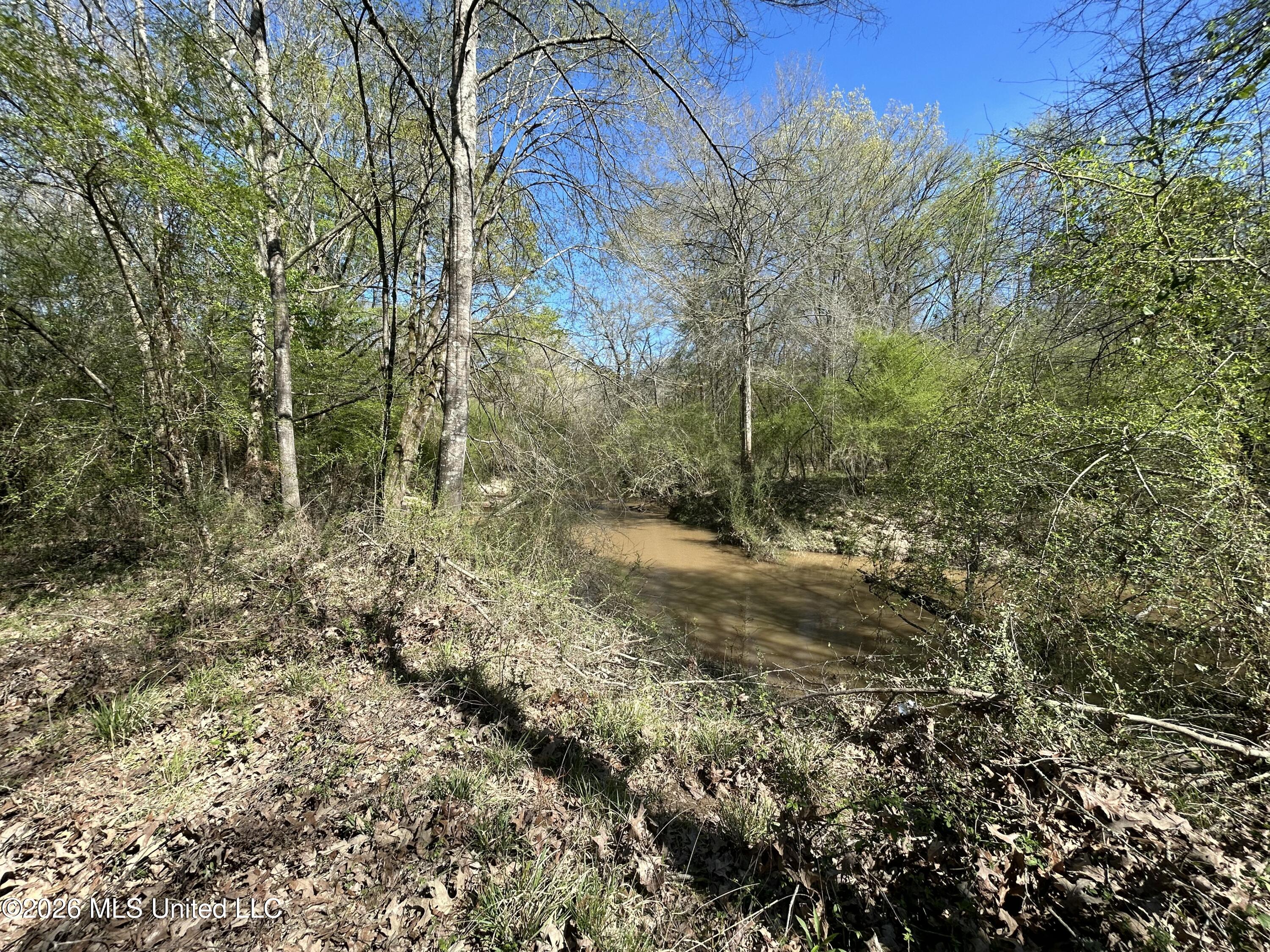 1009 Chance Road Centreville, MS 39631 - Photo 44 of 48 IMG_3411