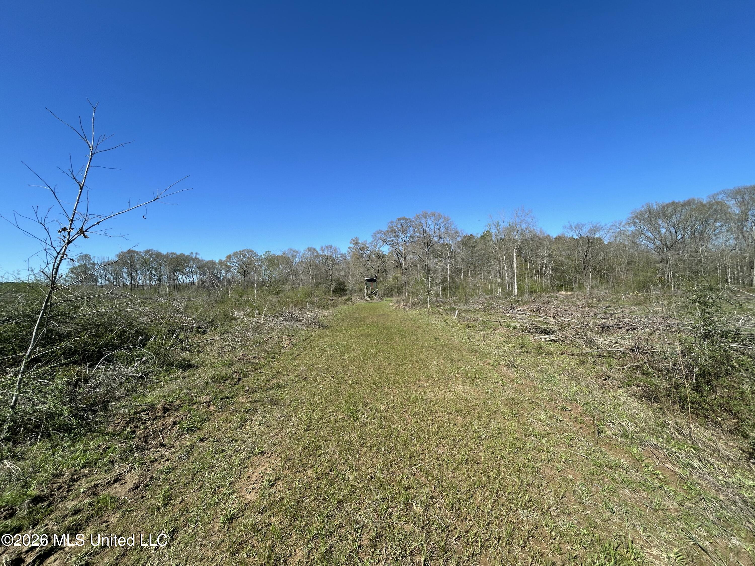 1009 Chance Road Centreville, MS 39631 - Photo 45 of 48 IMG_3412