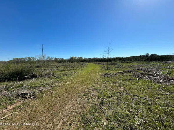 $525,000 | 1009 Chance Road, Centreville, MS 39631