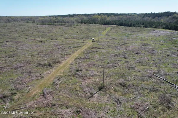 $525,000 | 1009 Chance Road, Centreville, MS 39631