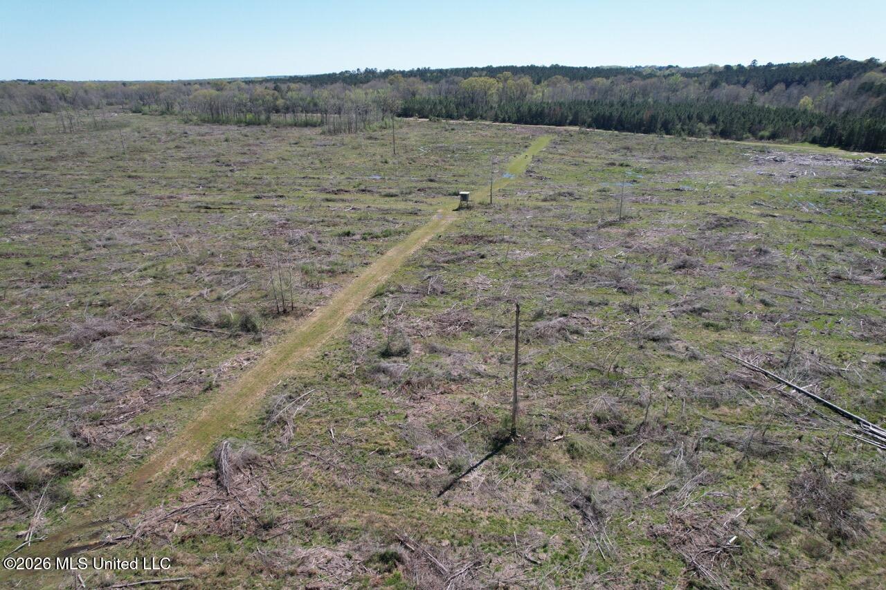 1009 Chance Road Centreville, MS 39631 - Photo 5 of 48 DJI_0412 Large