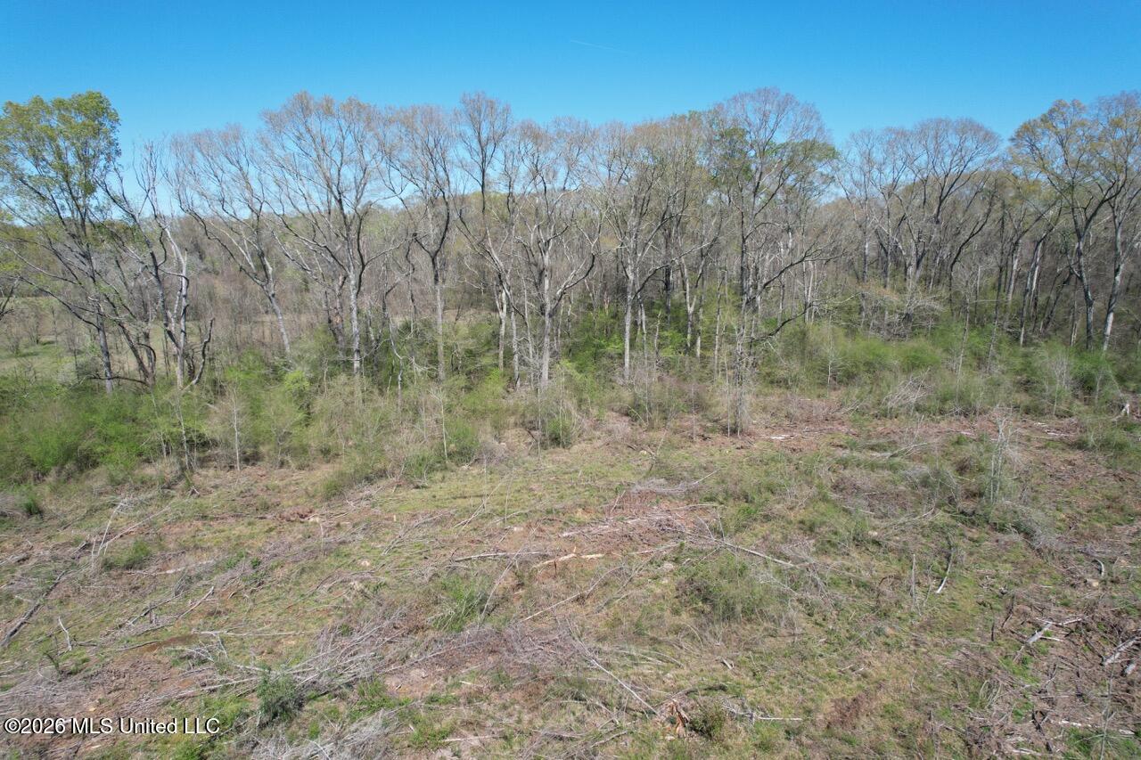 1009 Chance Road Centreville, MS 39631 - Photo 6 of 48 DJI_0414 Large