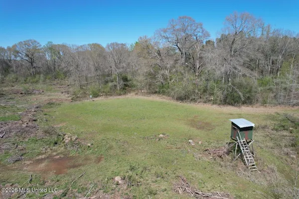 $525,000 | 1009 Chance Road, Centreville, MS 39631