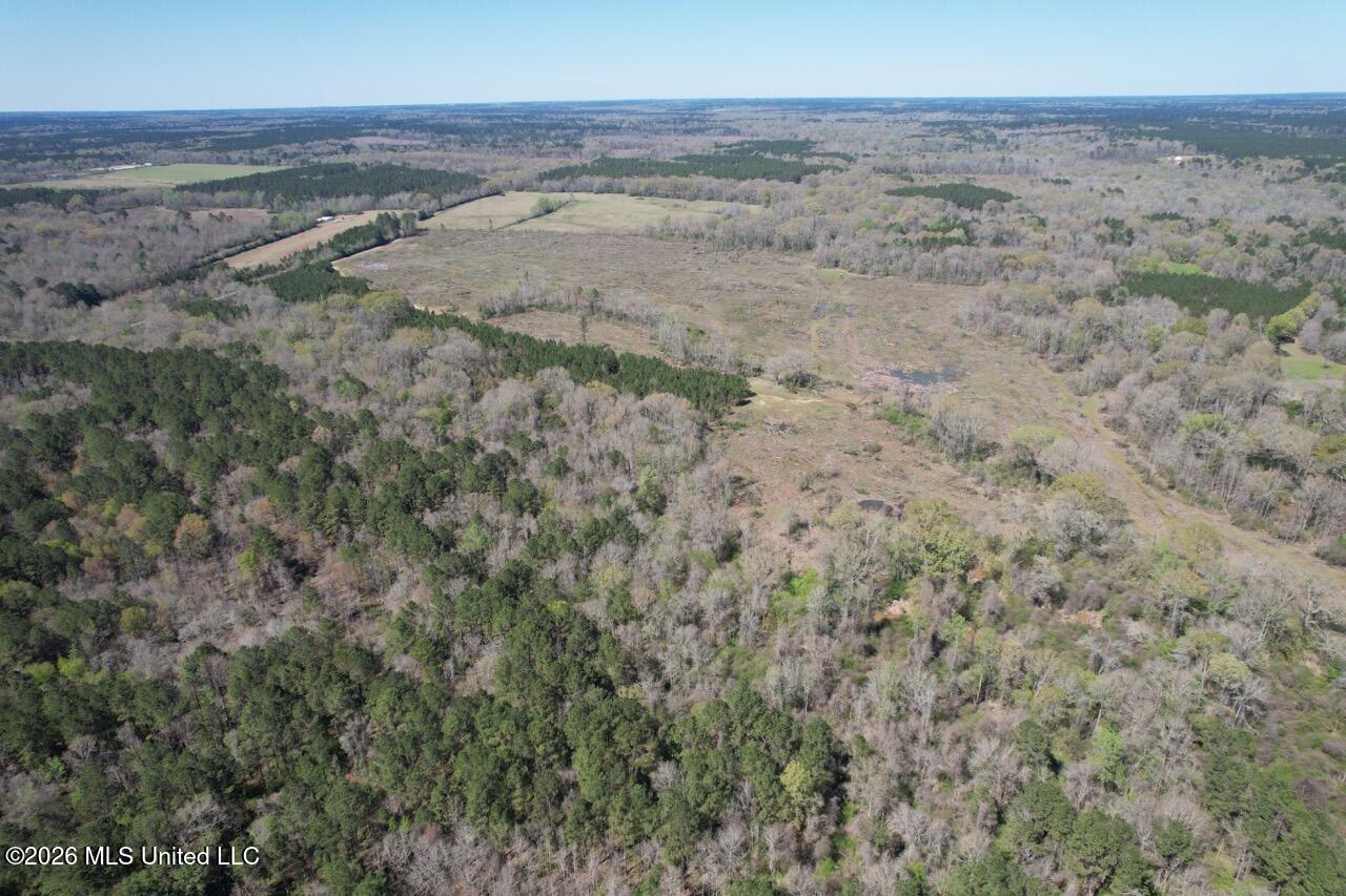 1009 Chance Road Centreville, MS 39631 - Photo 8 of 48 DJI_0423 Large