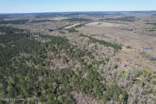 $525,000 | 1009 Chance Road, Centreville, MS 39631