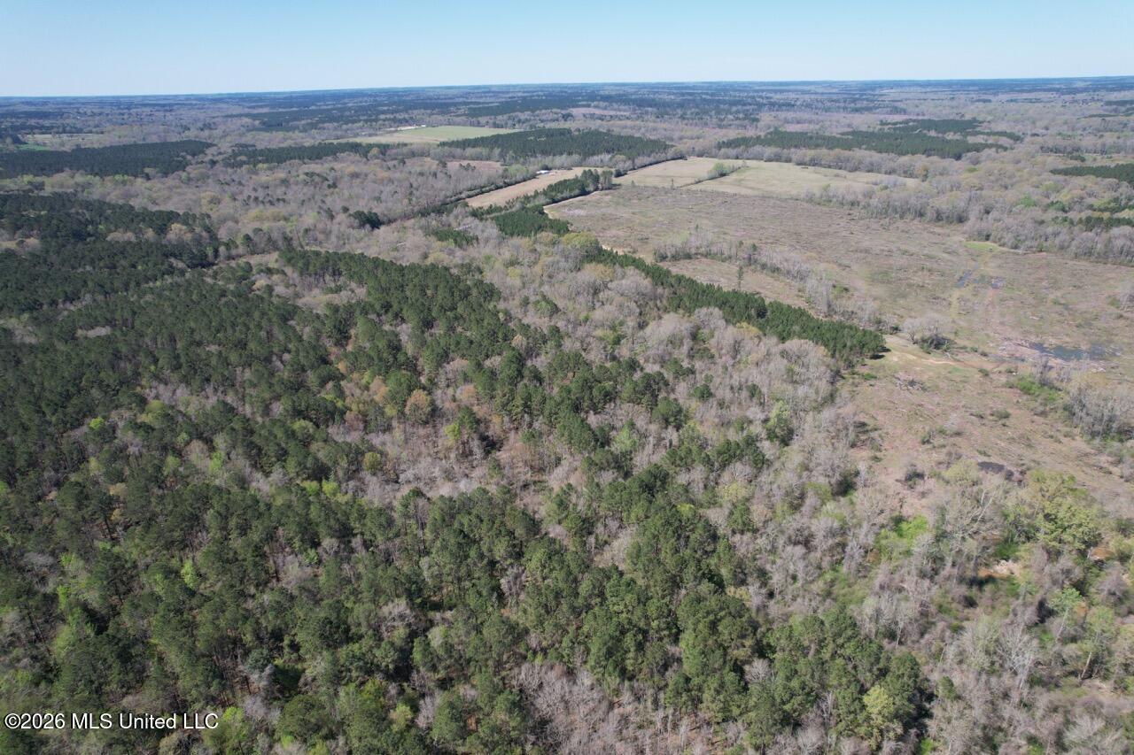 1009 Chance Road Centreville, MS 39631 - Photo 9 of 48 DJI_0424 Large