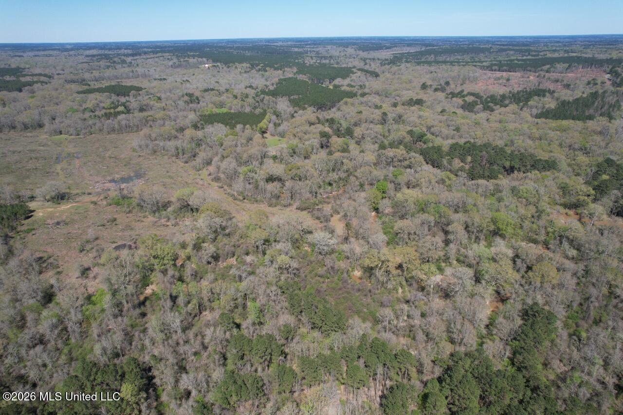 1009 Chance Road Centreville, MS 39631 - Photo 10 of 48 DJI_0425 Large