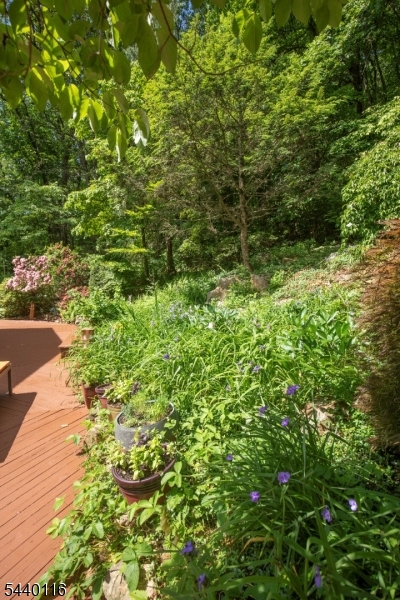 5 Thads Hill Road Hampton, NJ 08827 - Photo 34 of 49