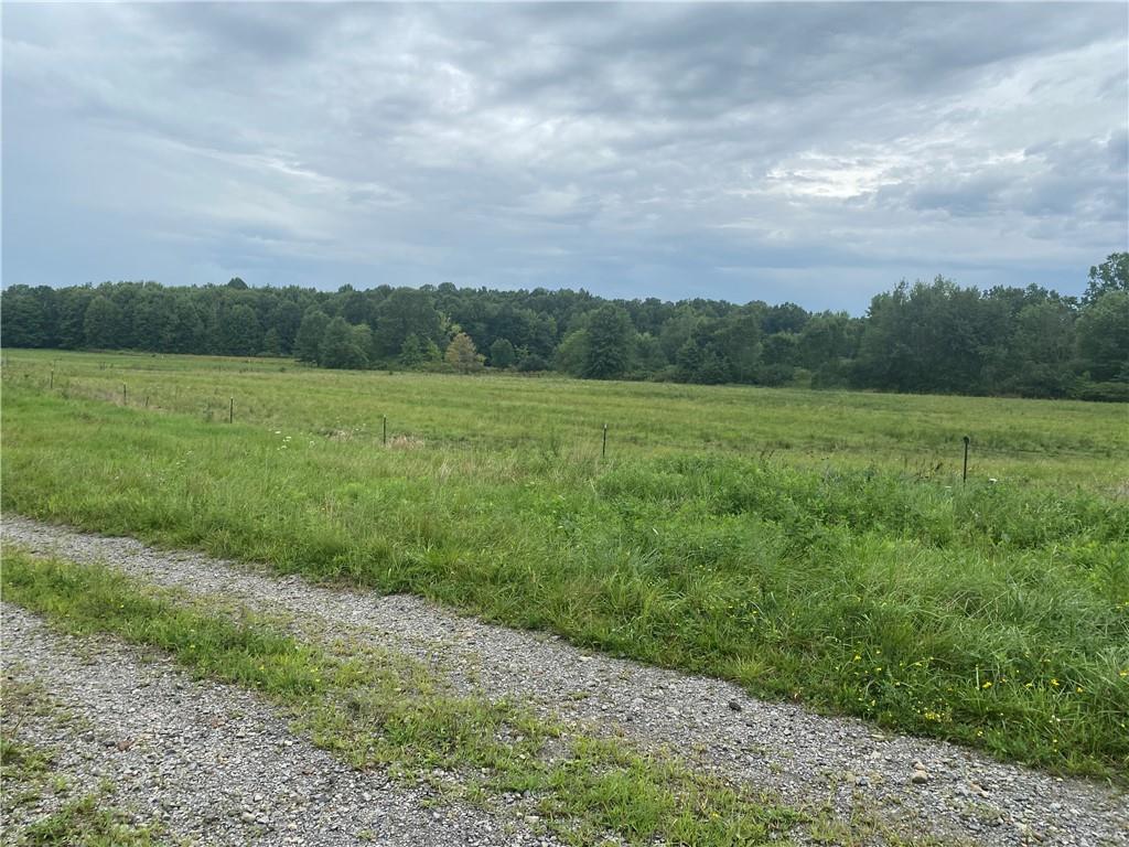 0 Borowicz Road New Wilmington, PA 16142 - Photo 1 of 3 Gallery Image 1