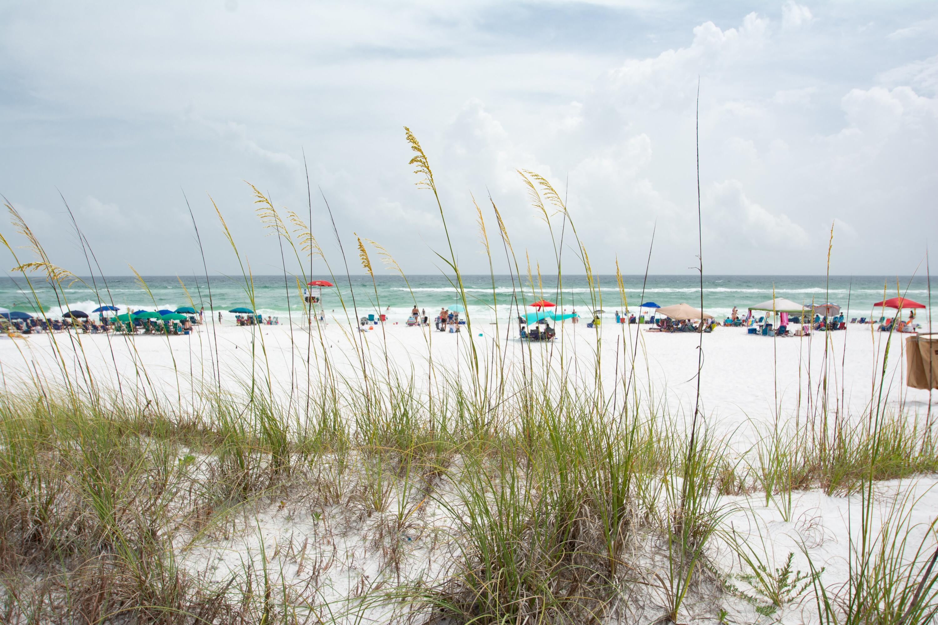 163 Enchanted Way Santa Rosa Beach, FL 32459 - Photo 27 of 29 Gallery Image 27