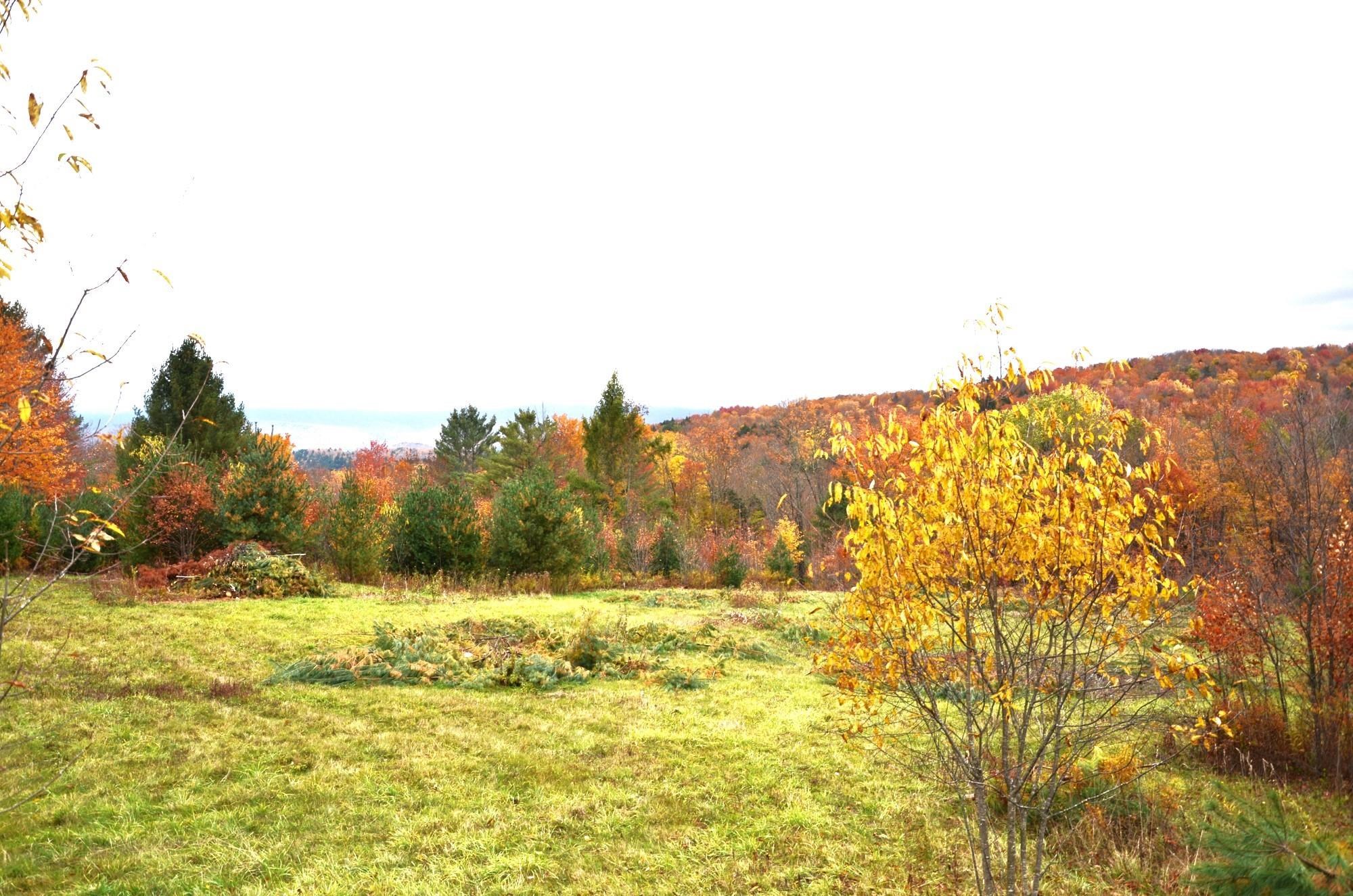 1419 Worcester Road Worcester, VT 05682 - Photo 17 of 19 Gallery Image 17