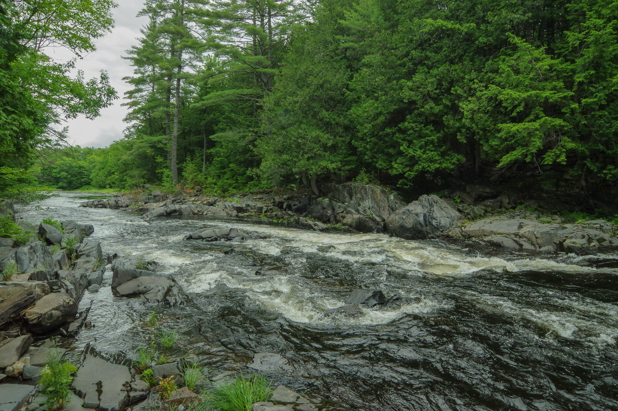 58 River Road Abbot, ME 04406 - Photo 90 of 114 IMGP0594