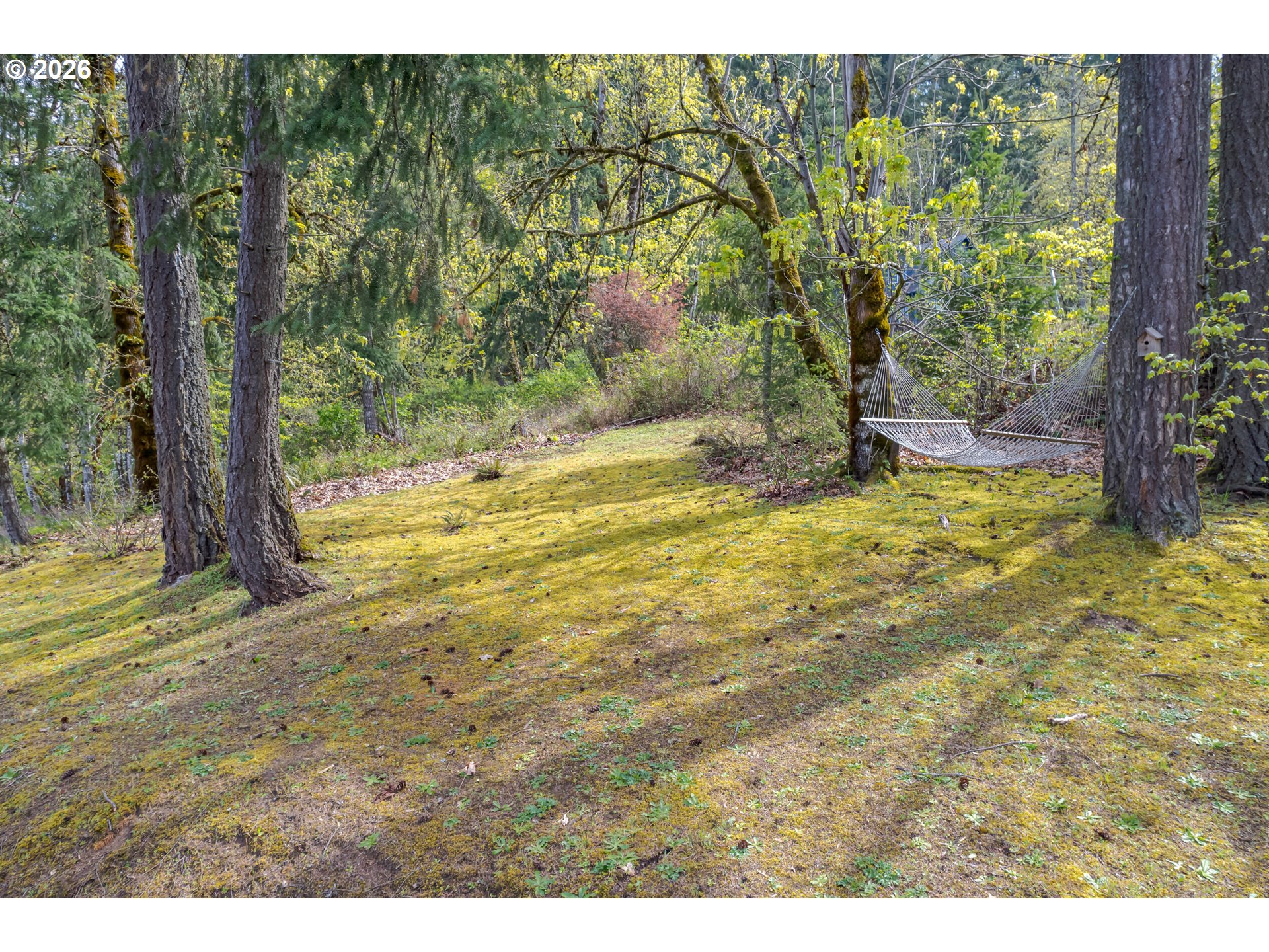 6189 Forest Ridge Drive Springfield, OR 97478 - Photo 46 of 48