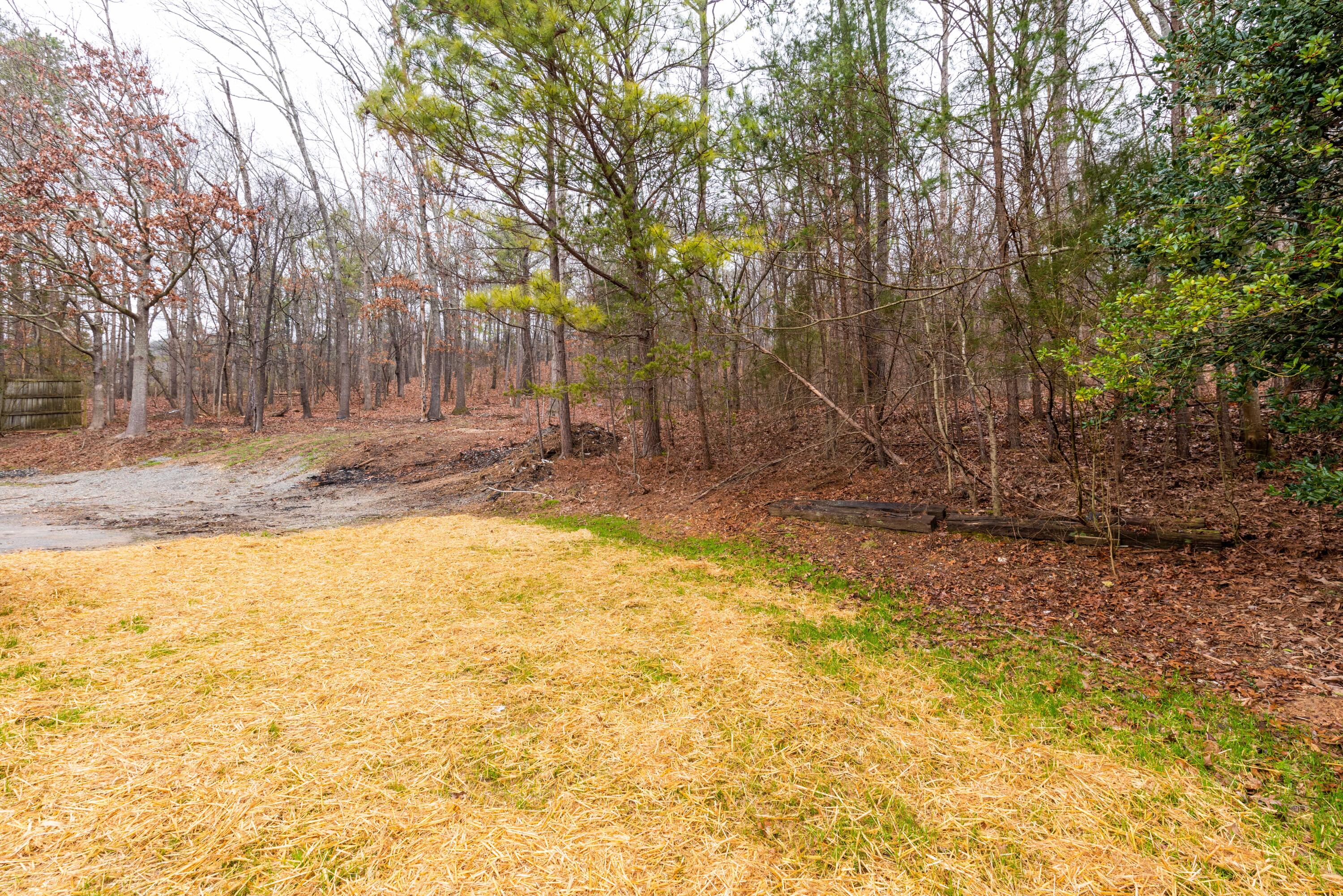 6913 Ramseytown Road Harrison, TN 37341 - Photo 7 of 20 DSC_6419