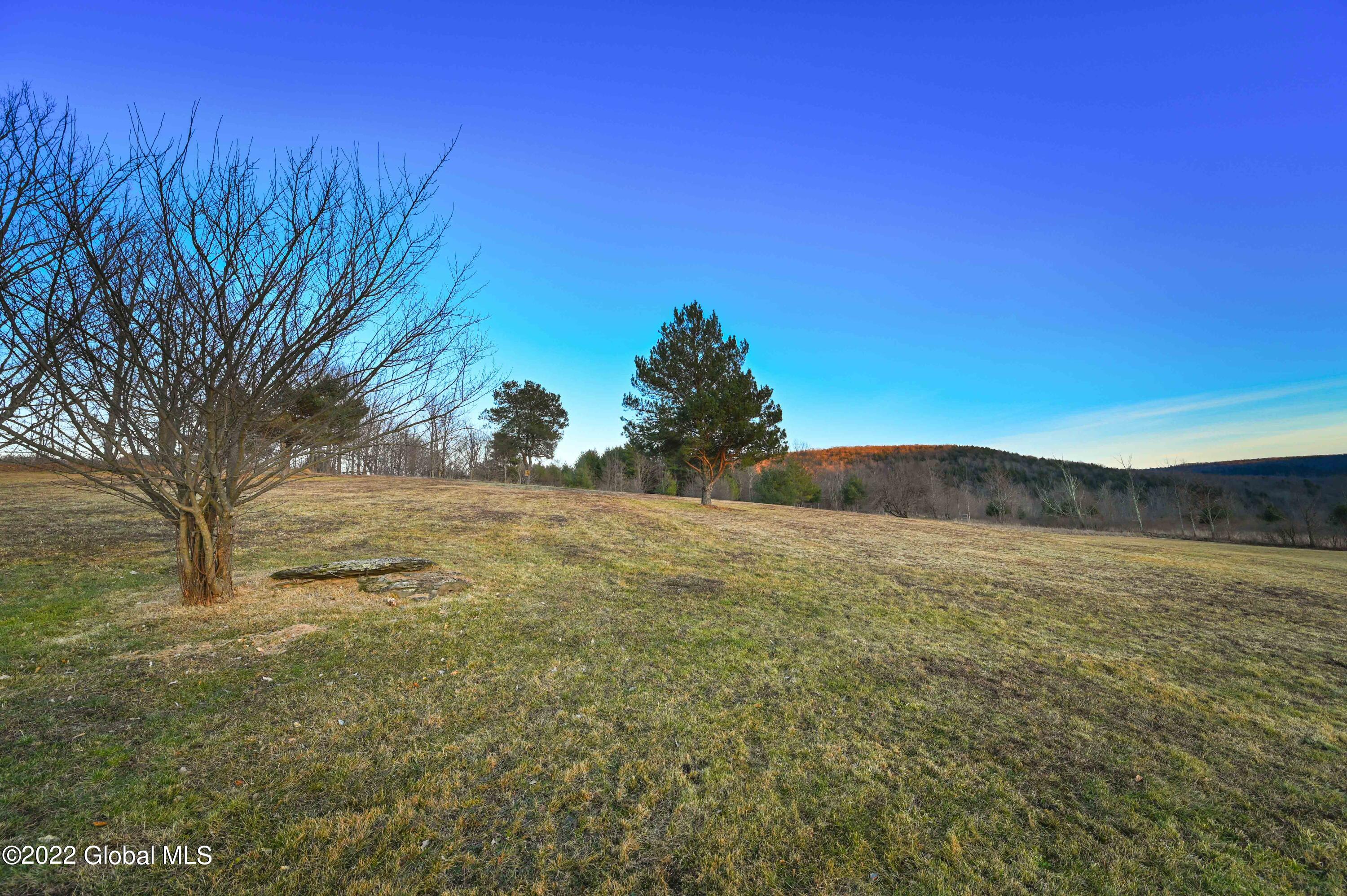 679 High Point Road Berne, NY 12122 - Photo 25 of 26 679 High Point RdMiddleburgh NY-9