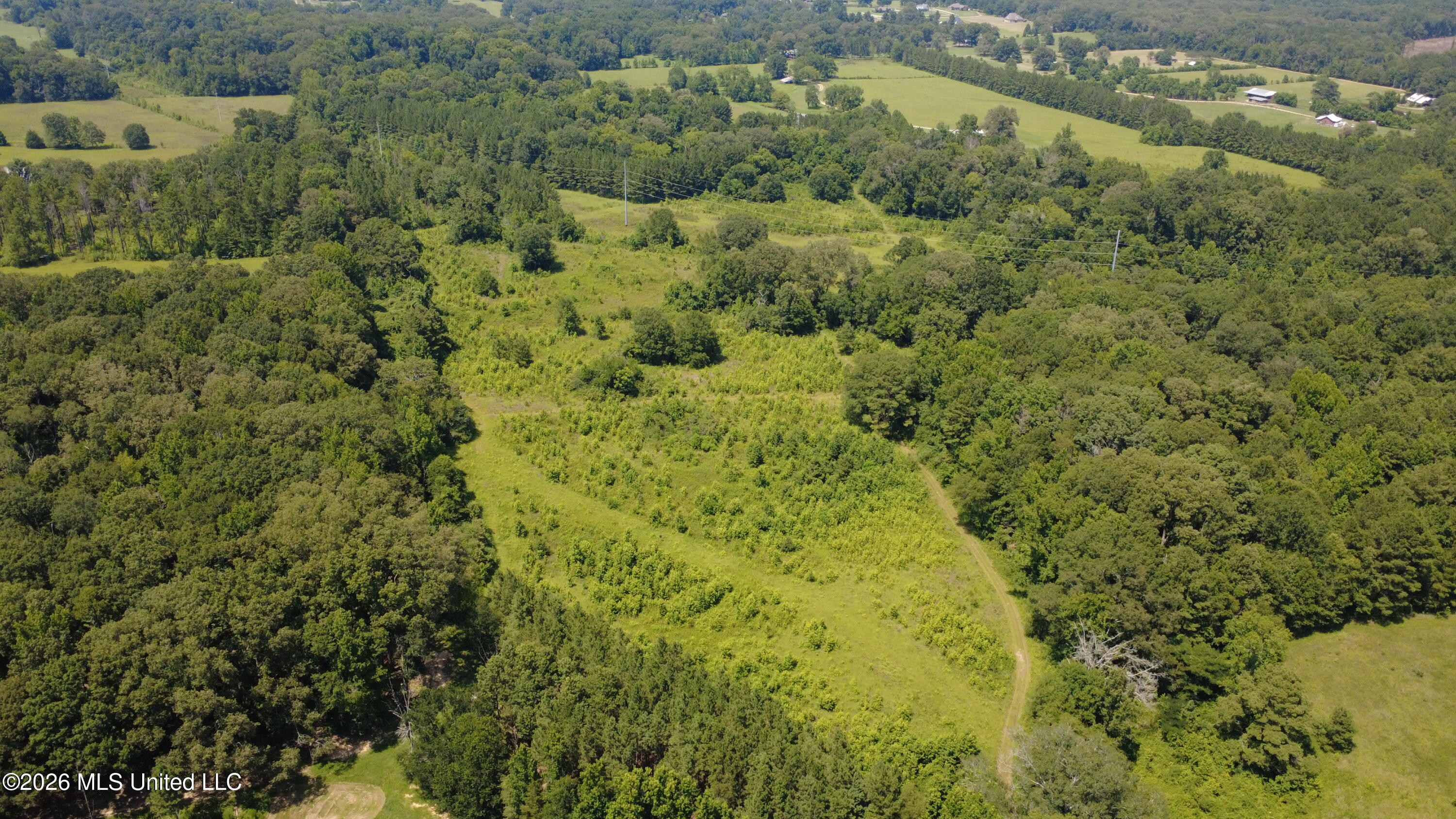 13610 Lebanon Pinegrove Road Terry, MS 39170 - Photo 9 of 13 dji_fly_20260703_143800_2_1783107517365_
