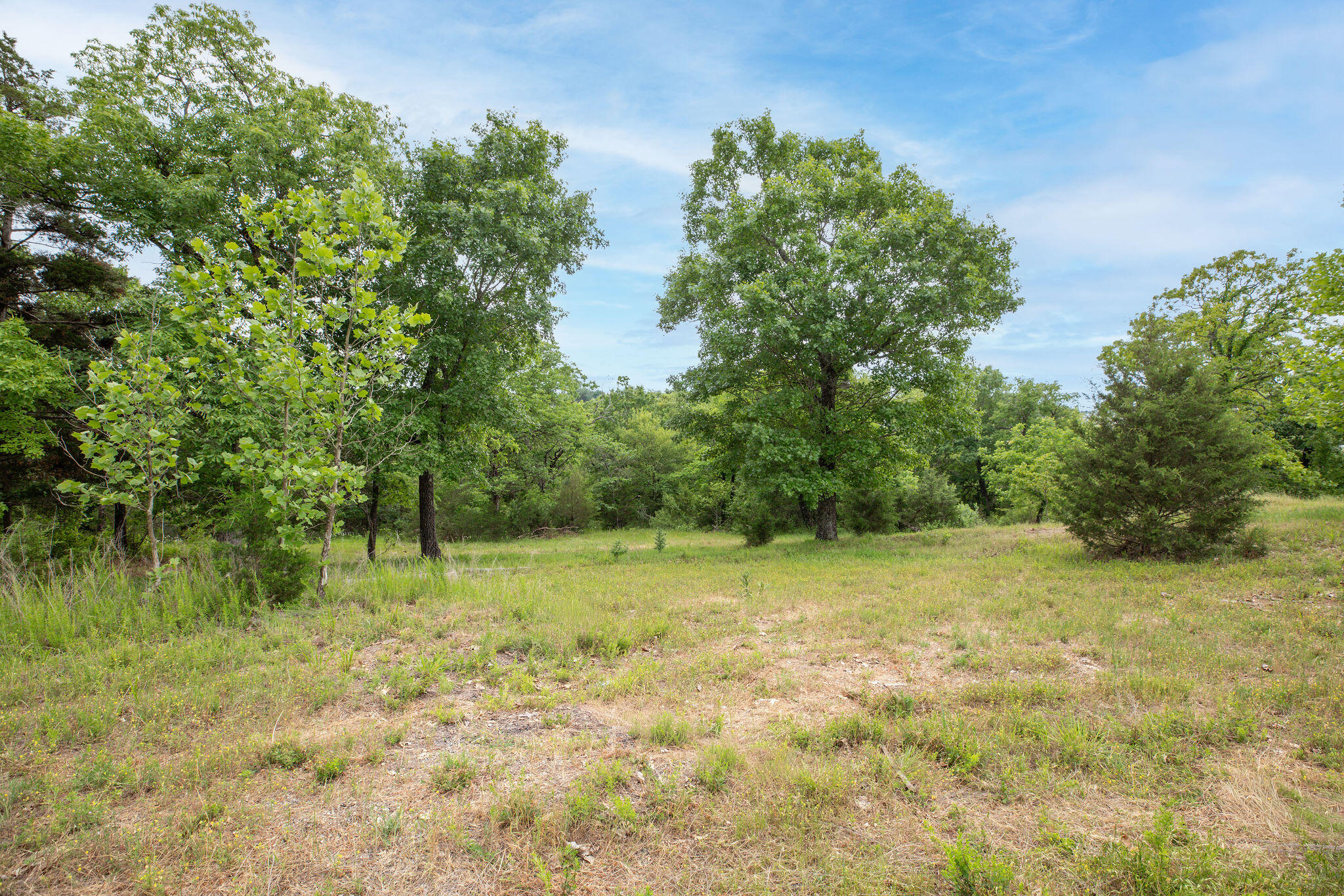 Tbd Bee Creek Road Branson, MO 65616 - Photo 3 of 13 TBD Bee Creek Road