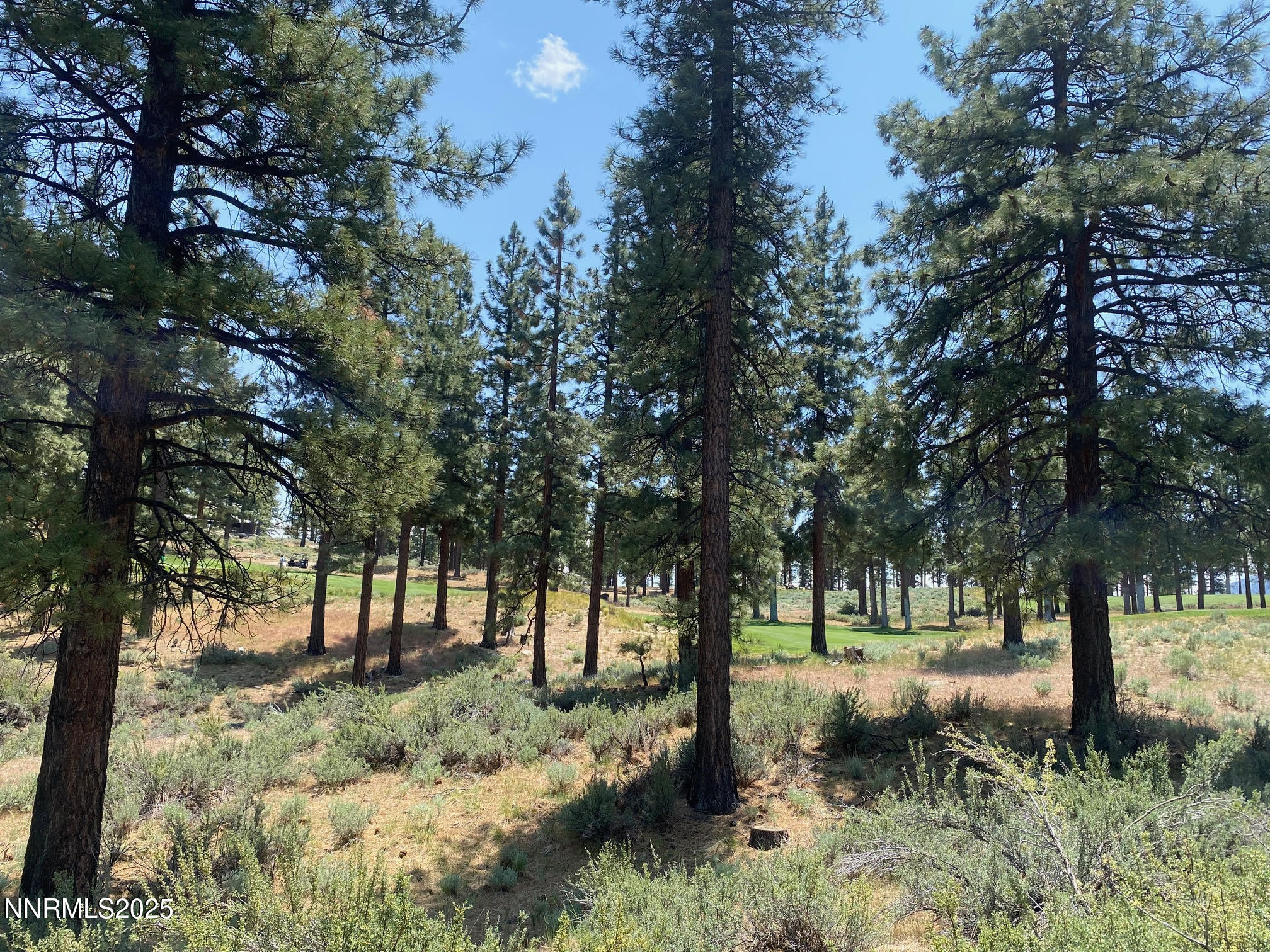 245 Redding Way, Unit 226 Carson City, NV 89705 - Photo 2 of 40 a view of trees in a yard