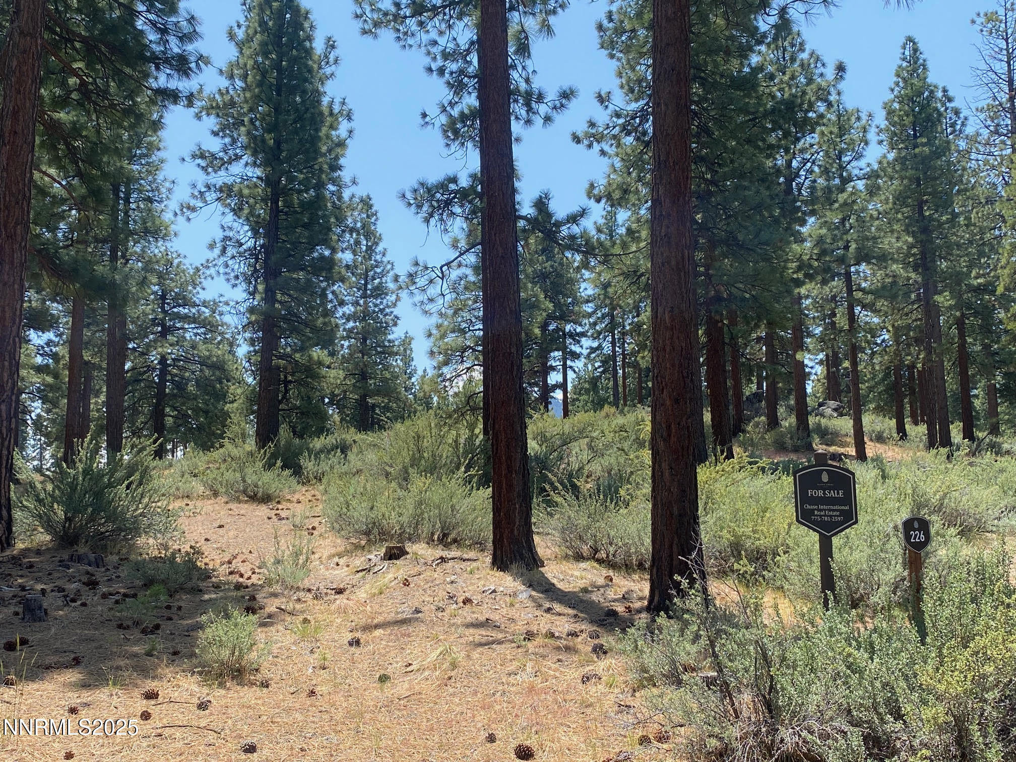 245 Redding Way, Unit 226 Carson City, NV 89705 - Photo 3 of 40 a view of a yard with plants and trees