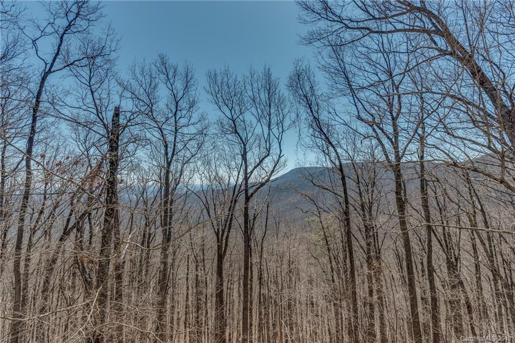 600 Summit Road Tryon, NC 28782 - Photo 21 of 32