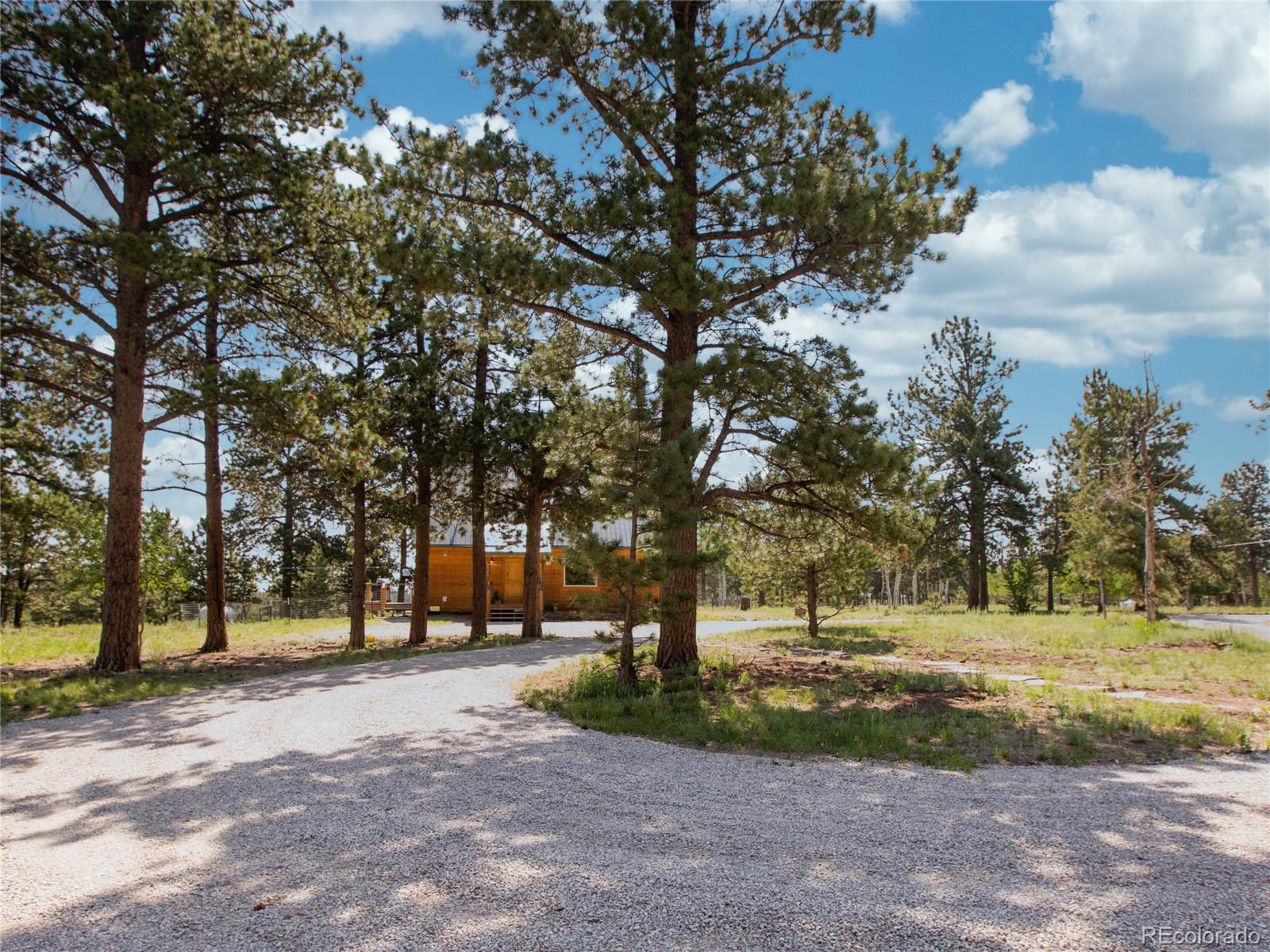 2370 Singletree Road Hartsel, CO 80449 - Photo 27 of 32