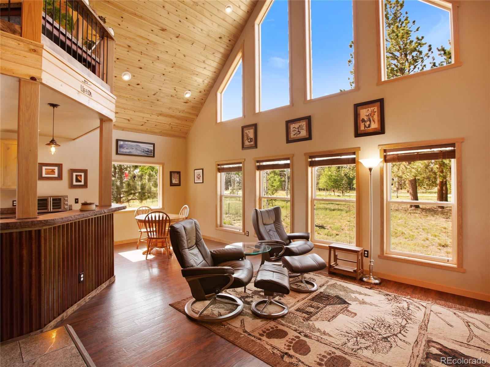 2370 Singletree Road Hartsel, CO 80449 - Photo 8 of 32
