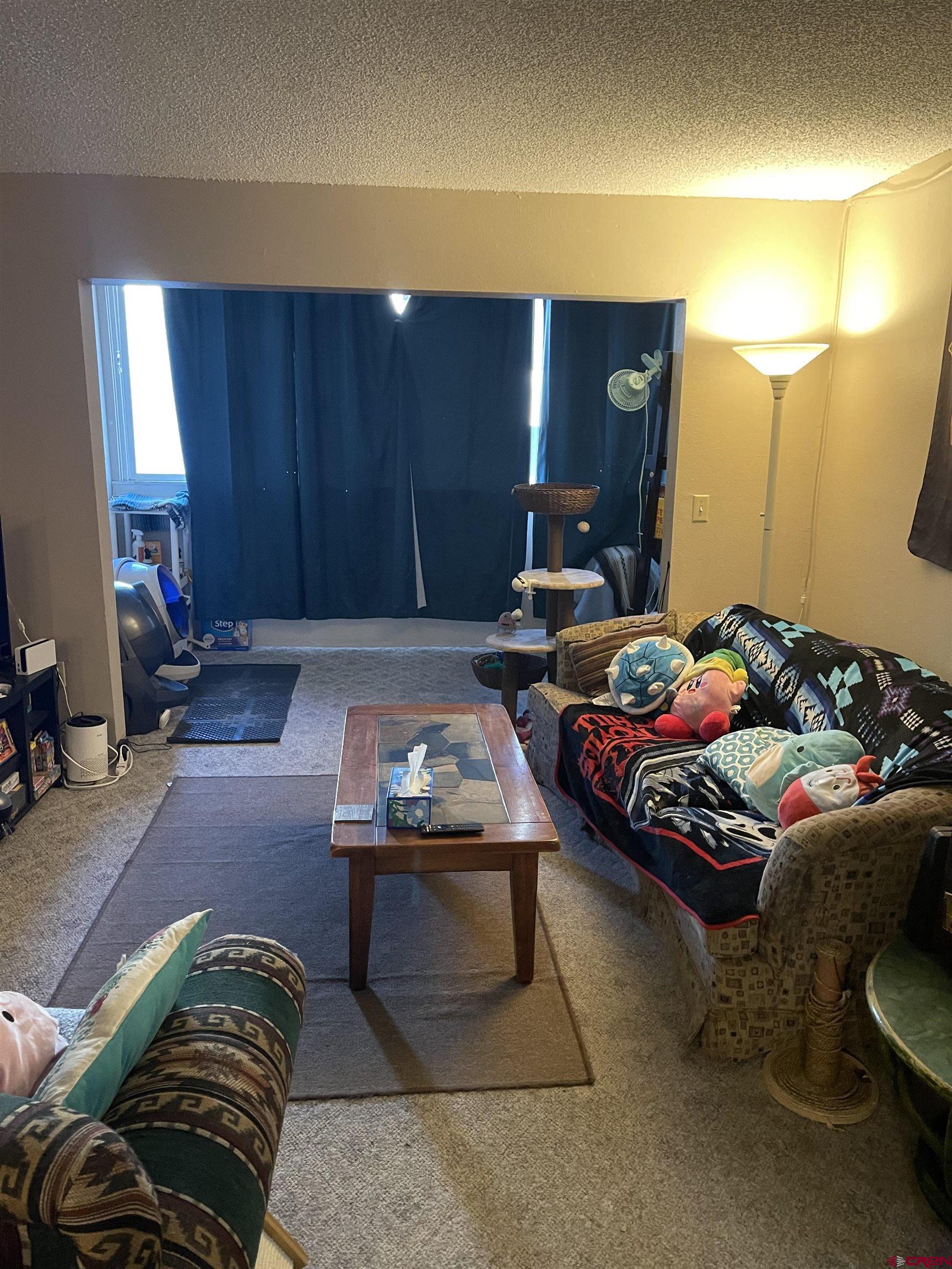 1135 Florida Road, Unit A8 Durango, CO 81301 - Photo 1 of 1